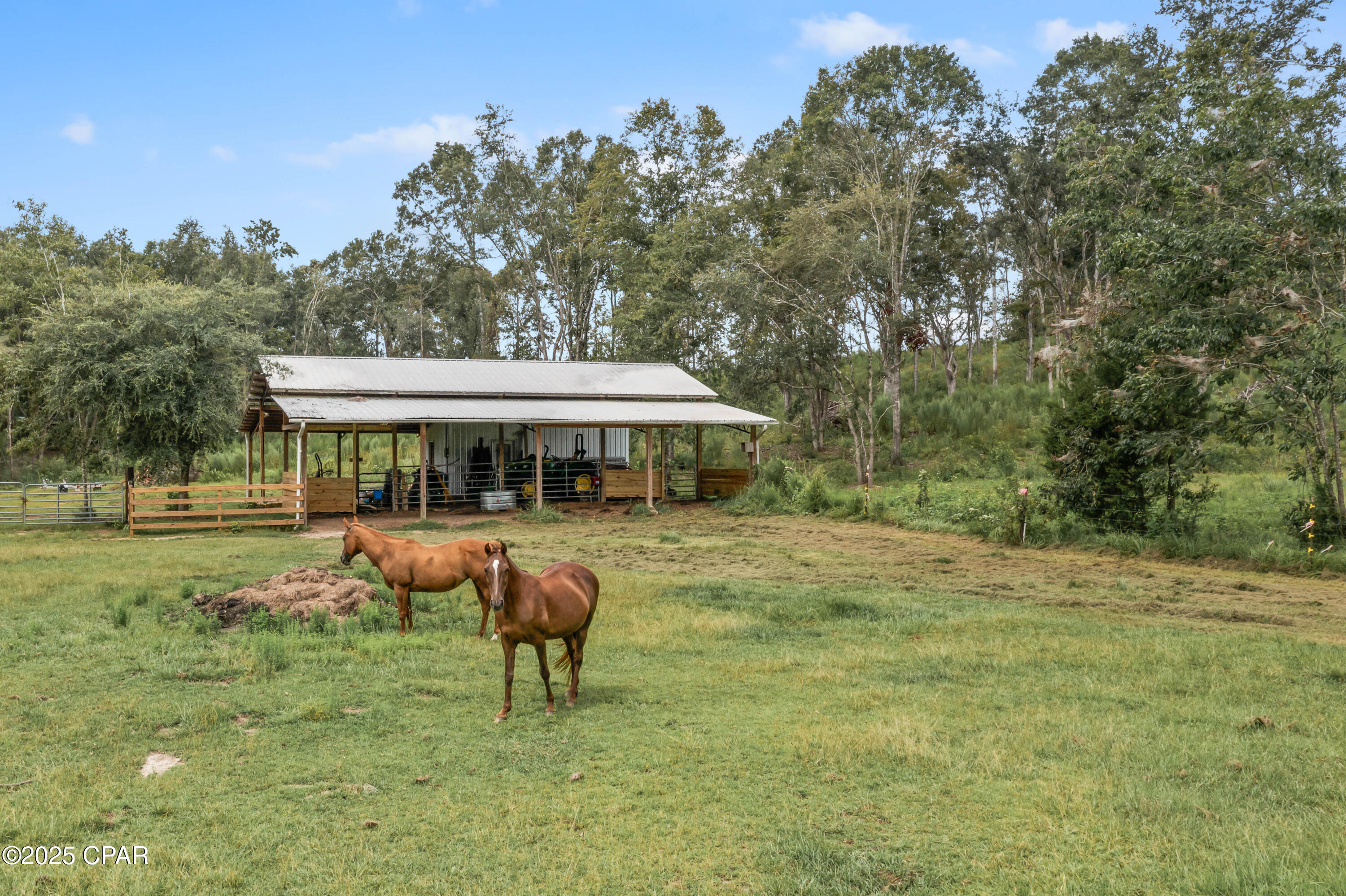 [No Recorded Subdiv] - Residential