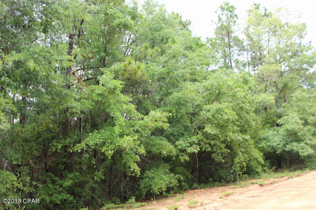 Compass Lake In The Hills - Land