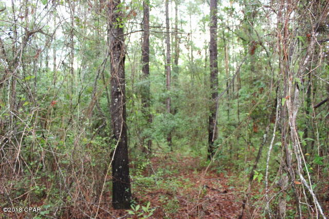 Compass Lake In The Hills - Land