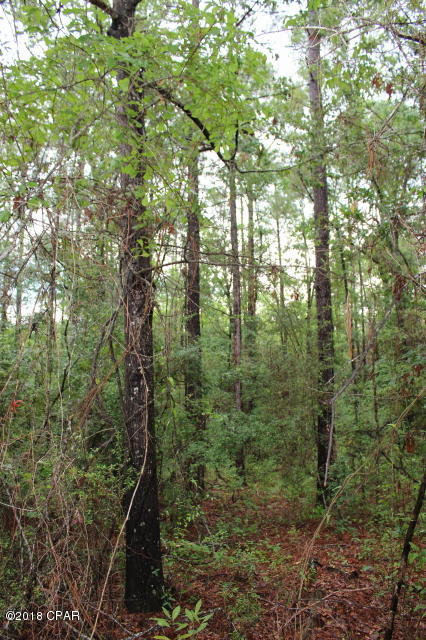 Compass Lake In The Hills - Land