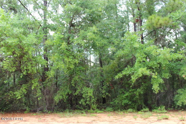 Compass Lake In The Hills - Land