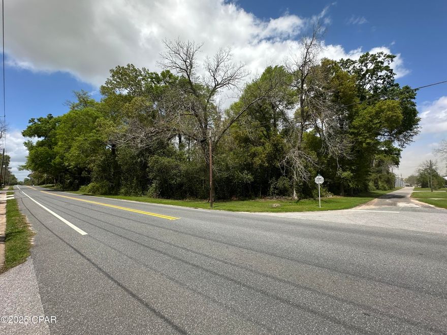 Prime Commercial Lot in Charming Greenwood, FL.  Seize this exceptional opportunity to own a corner commercial lot in the picturesque town of Greenwood, Florida. This heavily wooded parcel offers approximately 300 feet of road frontage, providing excellent visibility and accessibility. Key Features include a Strategic Location, situated just off the intersection of Highway 69 and Highway 73, a high traffic area, this corner lot benefits from access via both a main highway and a city street, ensuring high exposure to significant daily traffic and enhancing the potential for business success.  The Natural Setting of this property is heavily wooded, offering a serene environment that can be tailored to suit various commercial ventures.  With Ample Road Frontage of approximately 300 feet, the lot provides ample space for signage and entry points, maximizing business visibility and ensuring room for any business traffic from delivery trucks to consumer vehicles. Greenwood is renowned for its small-town charm and tranquil atmosphere, making it an inviting place for both residents and businesses. The community's friendly environment and scenic beauty create an ideal backdrop for a variety of commercial enterprises.  This property presents a unique opportunity for entrepreneurs and investors seeking a prime location in a growing area. Don't miss out on the chance to establish your business in this vibrant community by scheduling a viewing today!