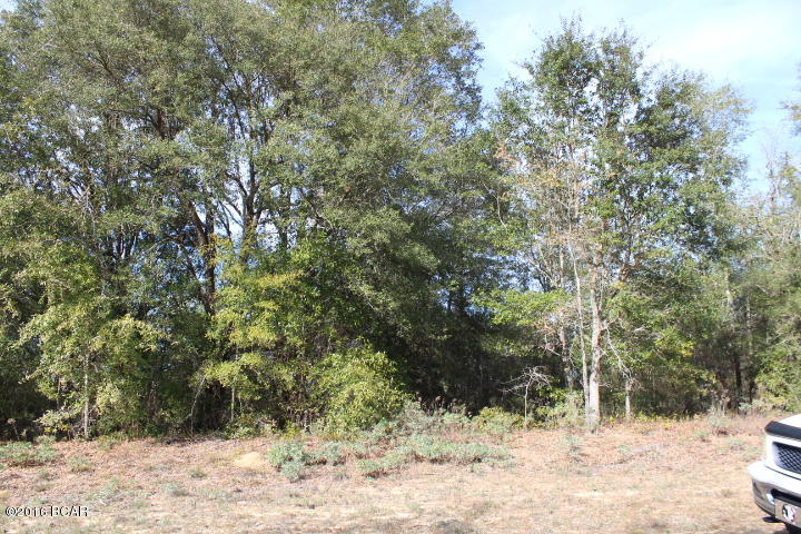 Compass Lake In The Hills - Land