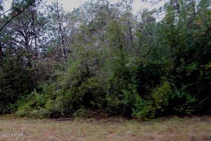 Compass Lake In The Hills - Land