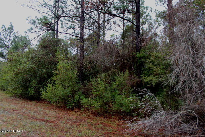 Compass Lake In The Hills - Land