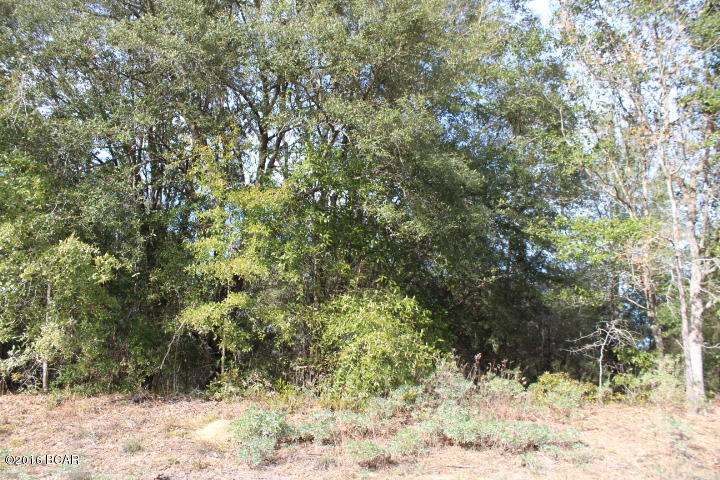 Compass Lake In The Hills - Land