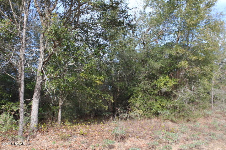 Compass Lake In The Hills - Land