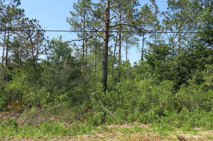 Beautiful wooded lot, almost five acres, just off of Skunk Valley Road on Raccoon.  Build one house or several.