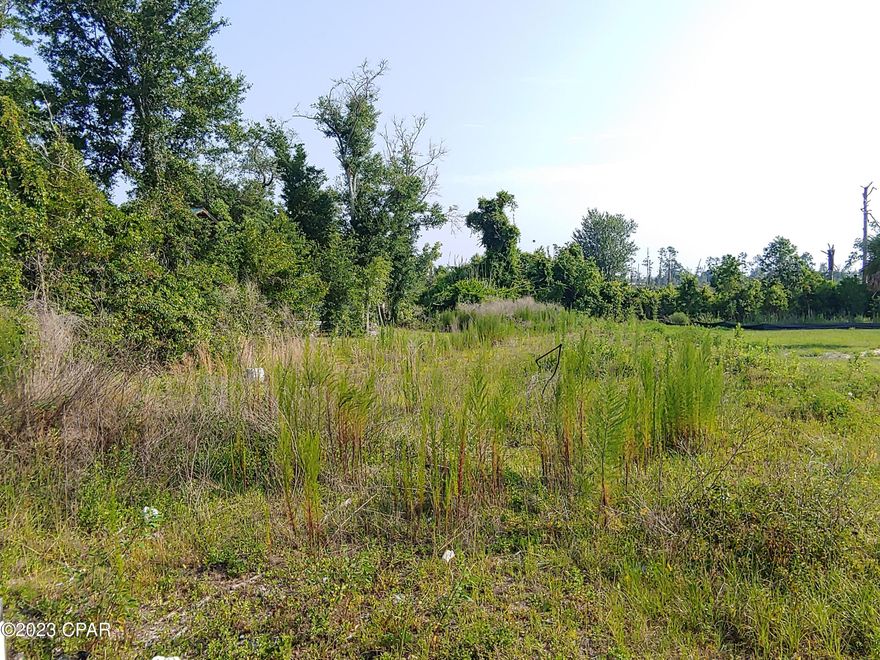 CURRENTLY UNDER CONTRACT ACCEPTING BACKUP OFFERS. Build your new home on this large deep lot in this centrally located neighborhood only 5 minutes from Panama City and 10 minutes to Tyndall Air Force Base! Panama City is looking better than ever with huge improvements of roads, new businesses, activities, dining, shopping, and more. This residential zoned lot is only a few blocks from a hospital and several health care providers. Minutes to boat launches and marinas with access to St Andrews Bay and the Gulf of Mexico. Prior home demoed, city water and sewer available. Build high and dry, this lot is not in flood zone. All information, including dimensions, uses, zoning, and access is considered approximate and should be verified by buyer.