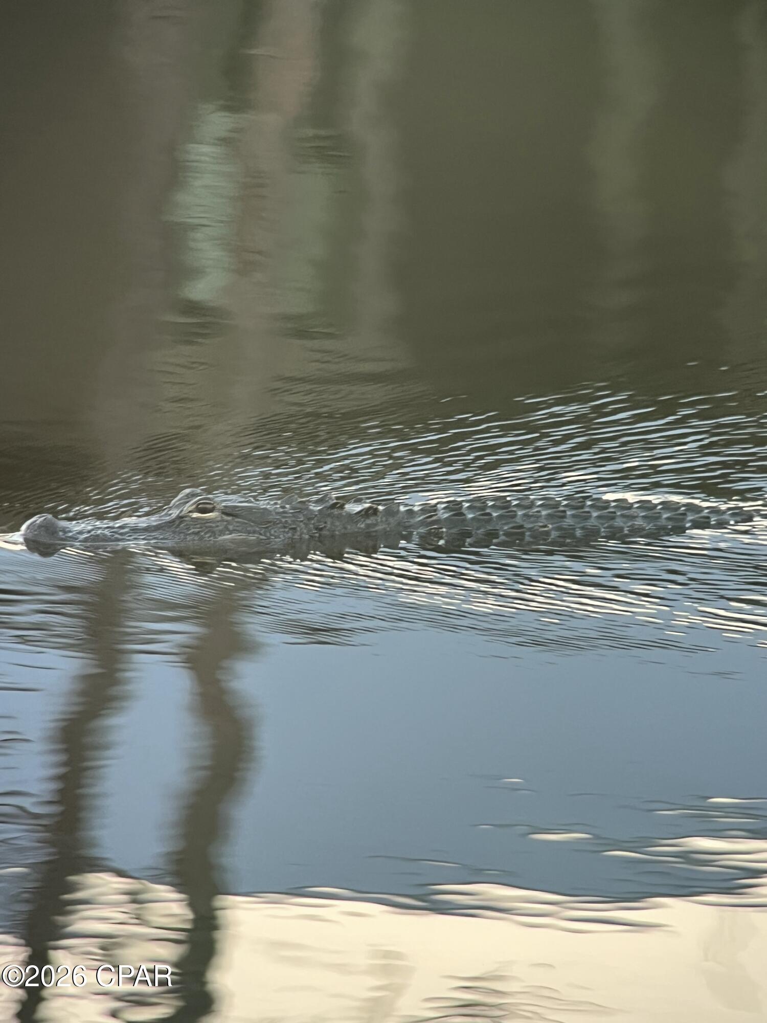 Rivercamps On Crooked Creek - Residential