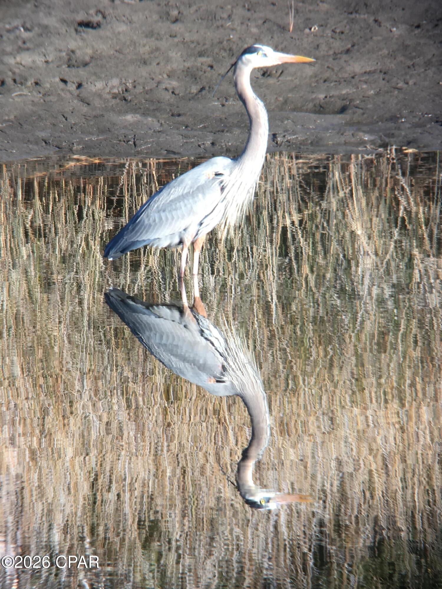 Rivercamps On Crooked Creek - Residential