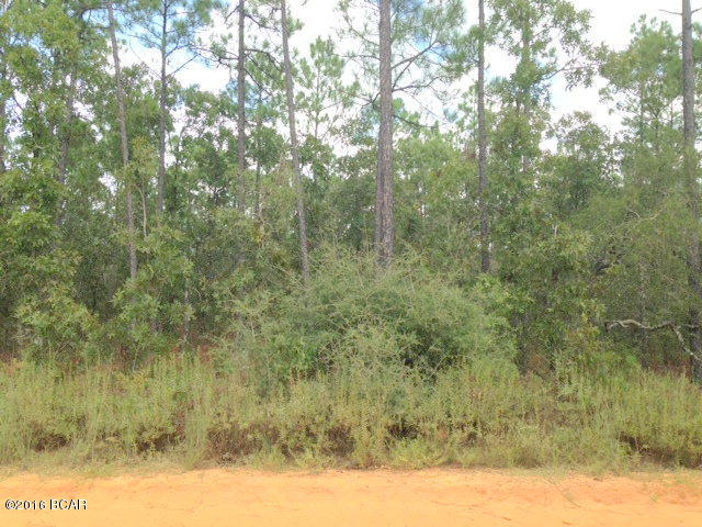 Buckhorn Creek - Land