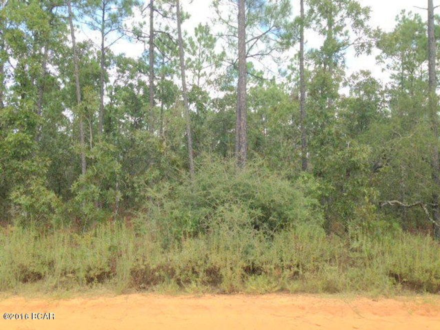 ***OWNER FINANCING AVAILABLE*** NICE TRACT OF LAND LOCATED ON BUCKHORN BLVD THAT WOULD MAKE A GREAT HOMESITE OR INVESTMENT PROPERTY. THIS LOT IS PRIMARILY WOODED AND OFFERS MULTIPLE SITES FOR A MOBILE HOME OR NEW CONSTRUCTION.