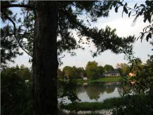 Lakewood Manor U-3 - Land