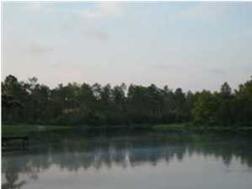 BEAUTIFUL WATERFRONT BUILDING LOT .59 ACRE MOL APPROX 60' ON THE LAKE. 135' ROAD FRONTAGE AND 192' DEEP TO THE WATER. LOCATED ON A PAVED STREET NEAR THE GOLF COURSE AND TYNDALL AIRFORCE BASE. Two other lots available MLS#611829 and MLS#611827 &39,000,00 EACH