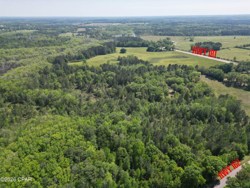 Discover the perfect blend of country charm and convenience with this 2.3± acre parcel ideally located near the corner of Highway 181 and Highway 162 in Holmes County, Florida. With direct highway frontage, this property offers easy access while maintaining the peaceful feel of rural Northwest Florida living.
This manageable yet spacious tract is ideal for building your dream home or placing a mobile home. Whether you're looking for a quiet homesite, a weekend retreat, or a place to put down roots, this property offers flexibility to suit your needs.
The acreage also makes an excellent small hobby farm. With room for a garden, chickens, goats, or even a horse, you can enjoy a self-sufficient lifestyle without the upkeep of a larger tract. Create your own homestead, plant fruit trees, or design a cozy country setting tailored to your vision.
Conveniently situated, you'll enjoy easy access to nearby lakes and creeks for fishing, swimming, and boating. Plus, the white-sand beaches and emerald waters of Panama City Beach are just about a 50-minute drive away, giving you the best of both country living and coastal recreation.
If you've been searching for an affordable piece of Northwest Florida land with highway frontage and multiple use options, this 2.3 +/- acre Holmes County parcel is ready for your plans.
Build. Settle. Relax. Enjoy the freedom of country living.

Key Features:
*Private and Peaceful
*Suitable for Building or Mobile Home
*Geneva, AL - 15 miles
*Dothan, AL - 40 miles
*Panama City Beach - 55 miles