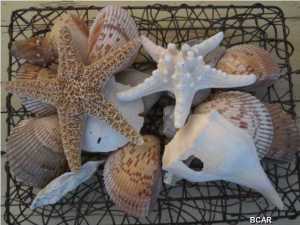 Watercrest Condo - Residential