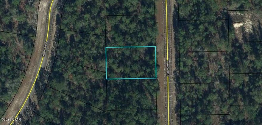 Explore the potential of this vacant land located in the heart of Sunny Hills, Chipley, FL. Nestled in a growing community, this property offers a versatile opportunity to bring your vision to life. Whether you're considering a future homesite, an investment, or something entirely unique, this parcel provides a blank canvas to make it happen. Enjoy the quiet surroundings and convenient access to nearby amenities, outdoor activities, and major roadways. Don't miss the chance to own a piece of Sunny Hills - your possibilities await!