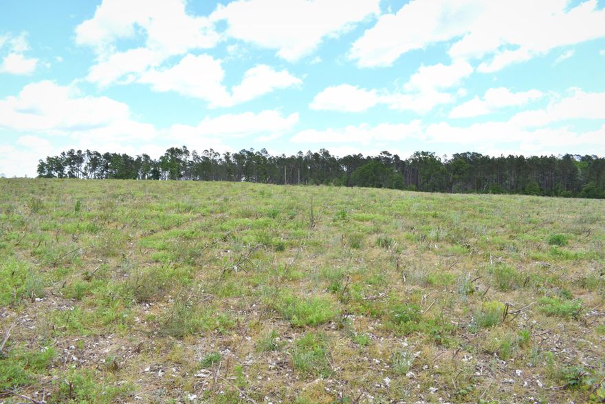 **Owner Financing Available** Cleared and ready for your new home this 10.5 +/- acre flag shaped parcel provides peace and tranquility. Property is located between Chipley and Vernon. Additional adjoining acreage available.