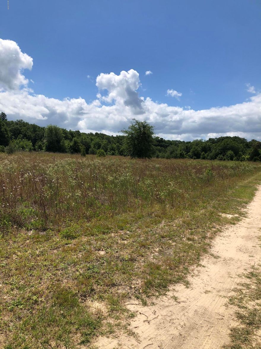 Build your dream home on 9 acres MOL of beautiful land located in Defuniak Springs. Even though you are close to town, this peaceful and serene property will make you feel miles away. Only 40 miles to beautiful Destin FL beaches make this a perfect building spot.  Well and septic are needed, electric close to property, as there are other homes near by. Call to see today!