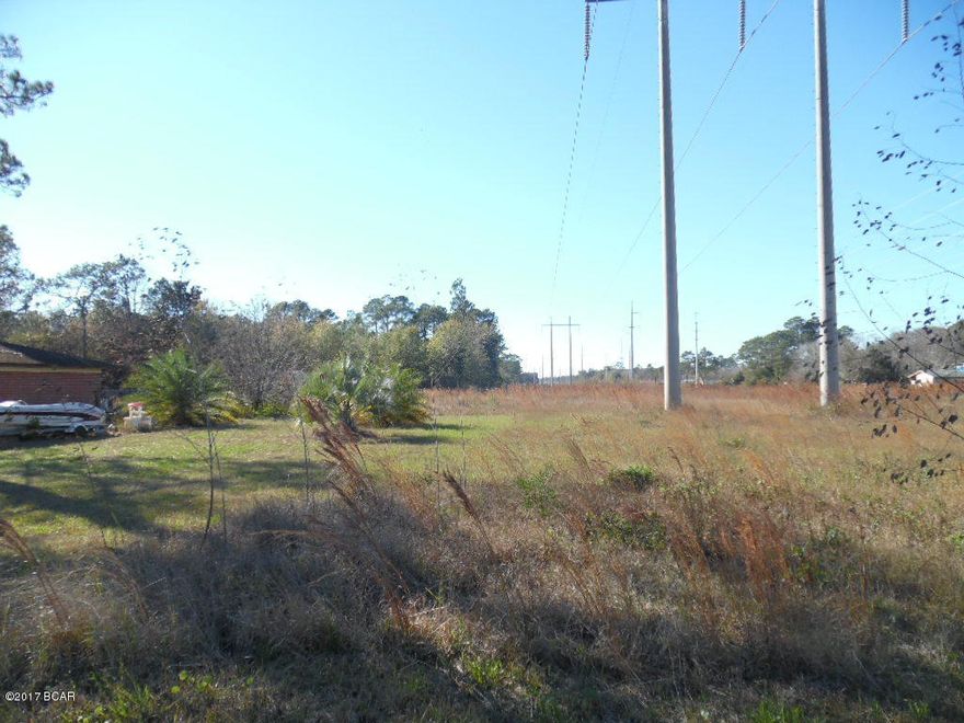 1 acre lot in town on a paved road. Lot expands in the back behind 2435 Ormond Ave.