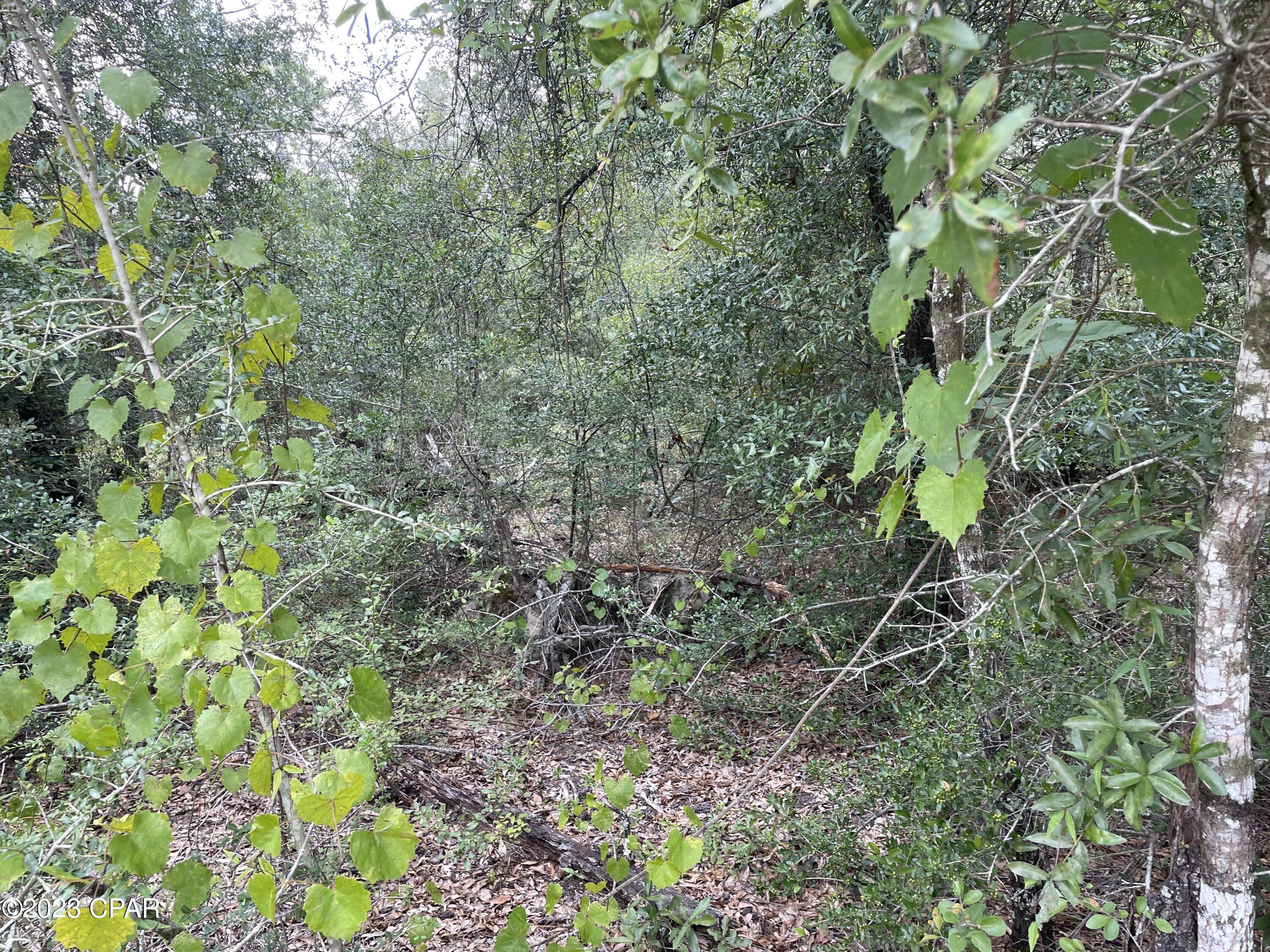 Compass Lake Hills Unit 6 - Land