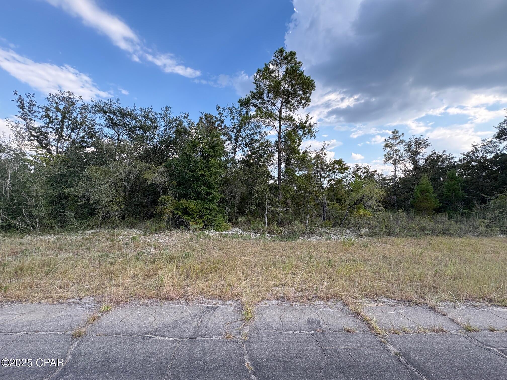 Sunny Hills Unit 10 - Land