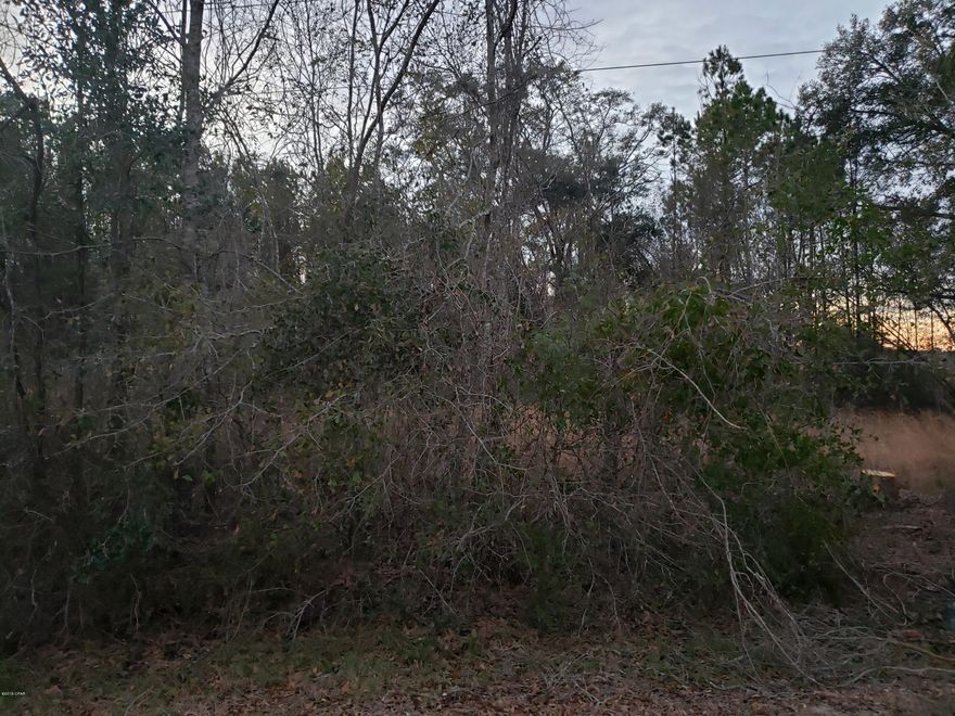 Currently under contract. Seller accepting back up offers. Paved road frontage with this 8.76 +/- acre parcel in Graceville.  Property is mostly wooded.  Clear your spot for your new home! Not far from Hwy 2 which will access downtown Graceville and Hwy 231 in Campbellton.