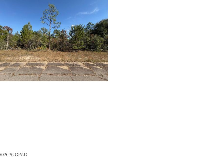 Calling all LOT & LAND BUYERS.... Excellent opportunity to own a .419 acre building lot in Unit 7 of Sunny Hills, located at Lot 5 on Bonita Drive. Priced right for a quick sale, you will definitely want to check this one out before it's gone! This is a nicely wooded parcel that is close to a 1/2 acre in size. It backs up to an 11 acre Deltona owned parcel providing some added privacy at the rear of the property. Bonita Dr is not yet developed and there are not any utilities present BUT this is a great lot for the investor who wants to get into an oversized lot at a fantastic price point! Compare this .419 acre lot to any other similar priced 1/4 acre investment lot in the Sunny Hills community and see the value for yourself.