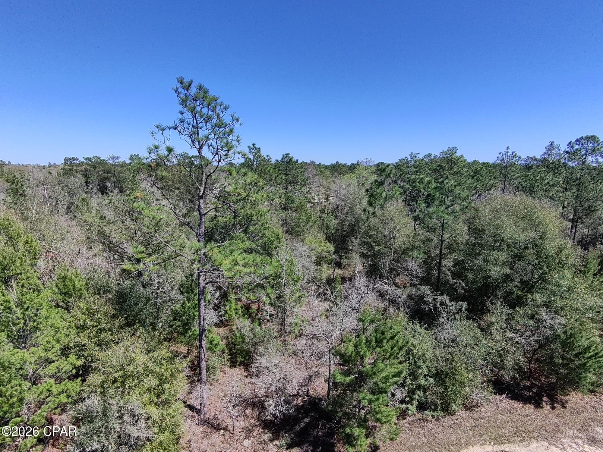 Sunny Hills Unit 7 - Land