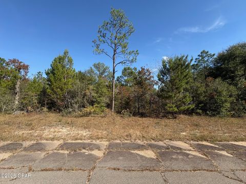 LOT 5 Bonita Drive Chipley FL 32428
