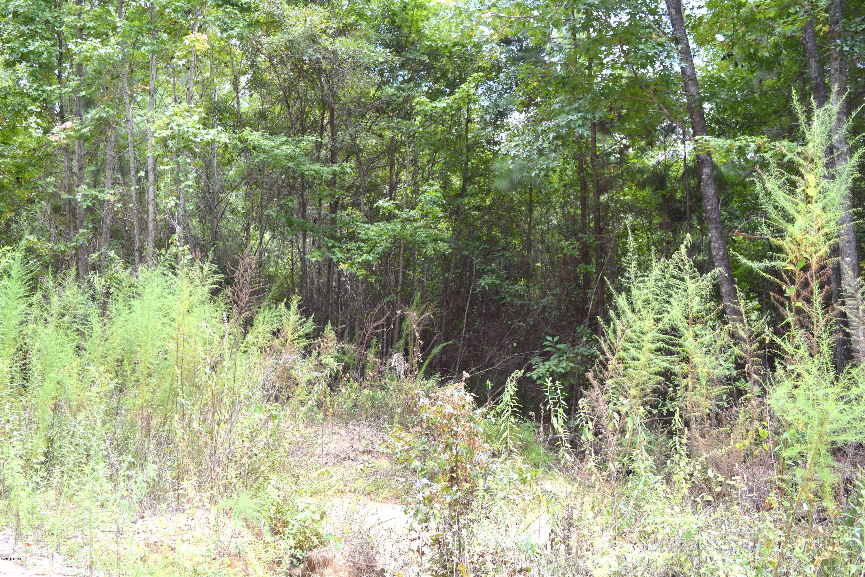 No Named Subdivision - Land