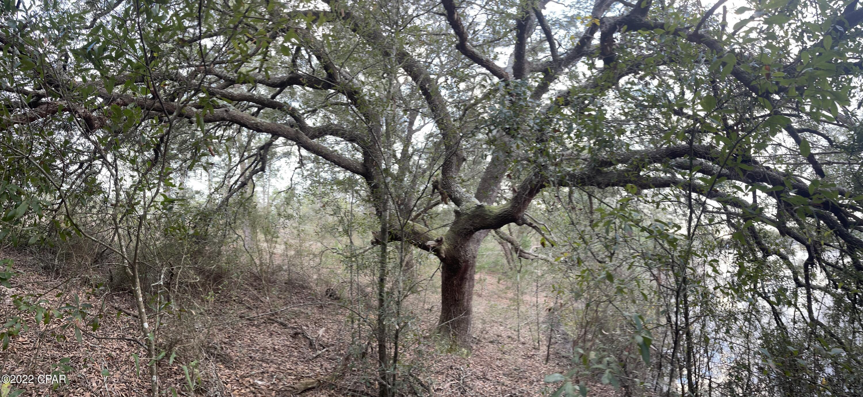 [No Recorded Subdiv] - Land