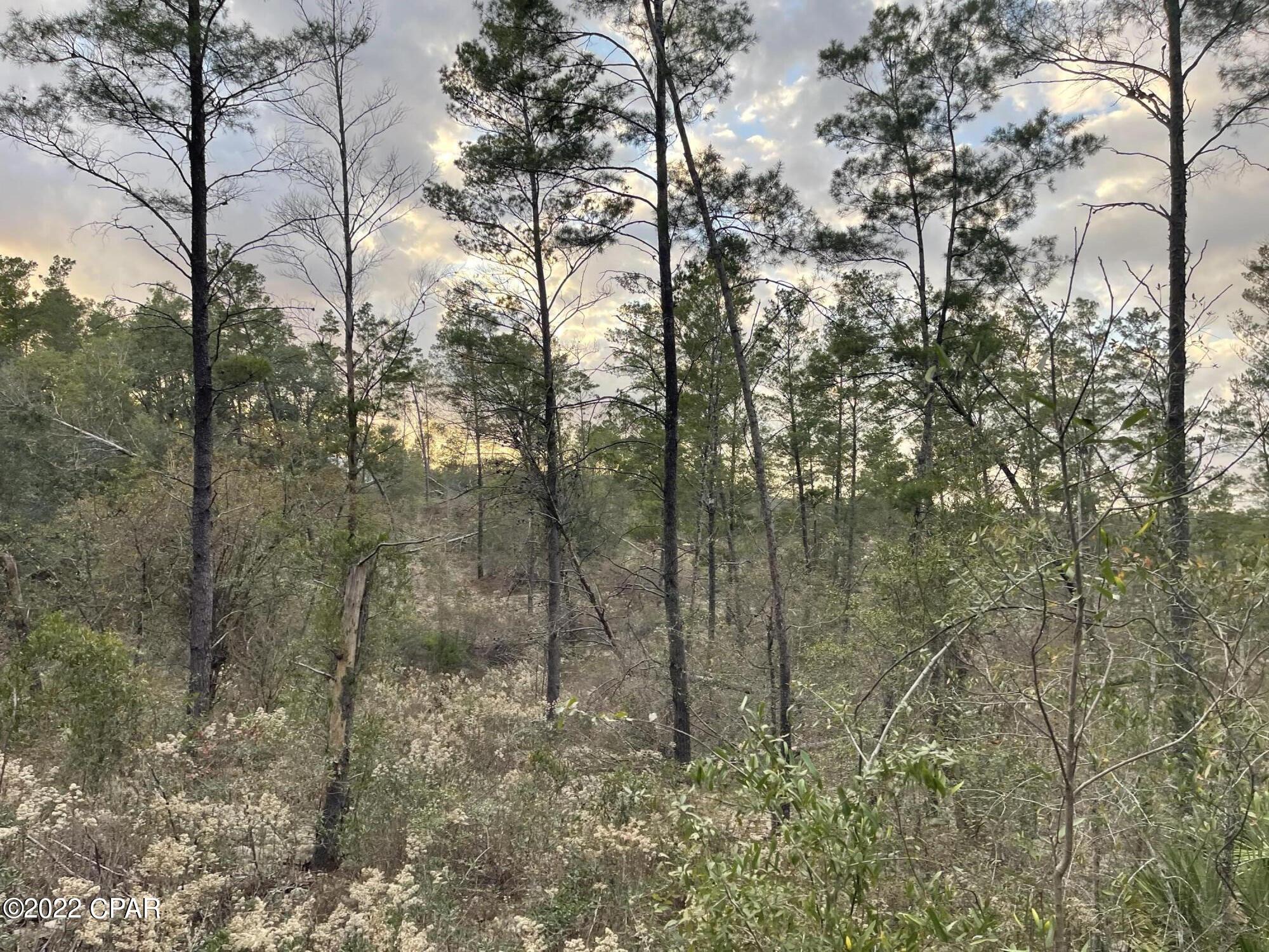 [No Recorded Subdiv] - Land