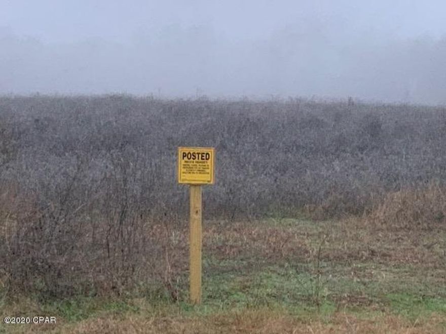 Nice home site, ample wild life. 6 acres are clear and 4 acres wooded