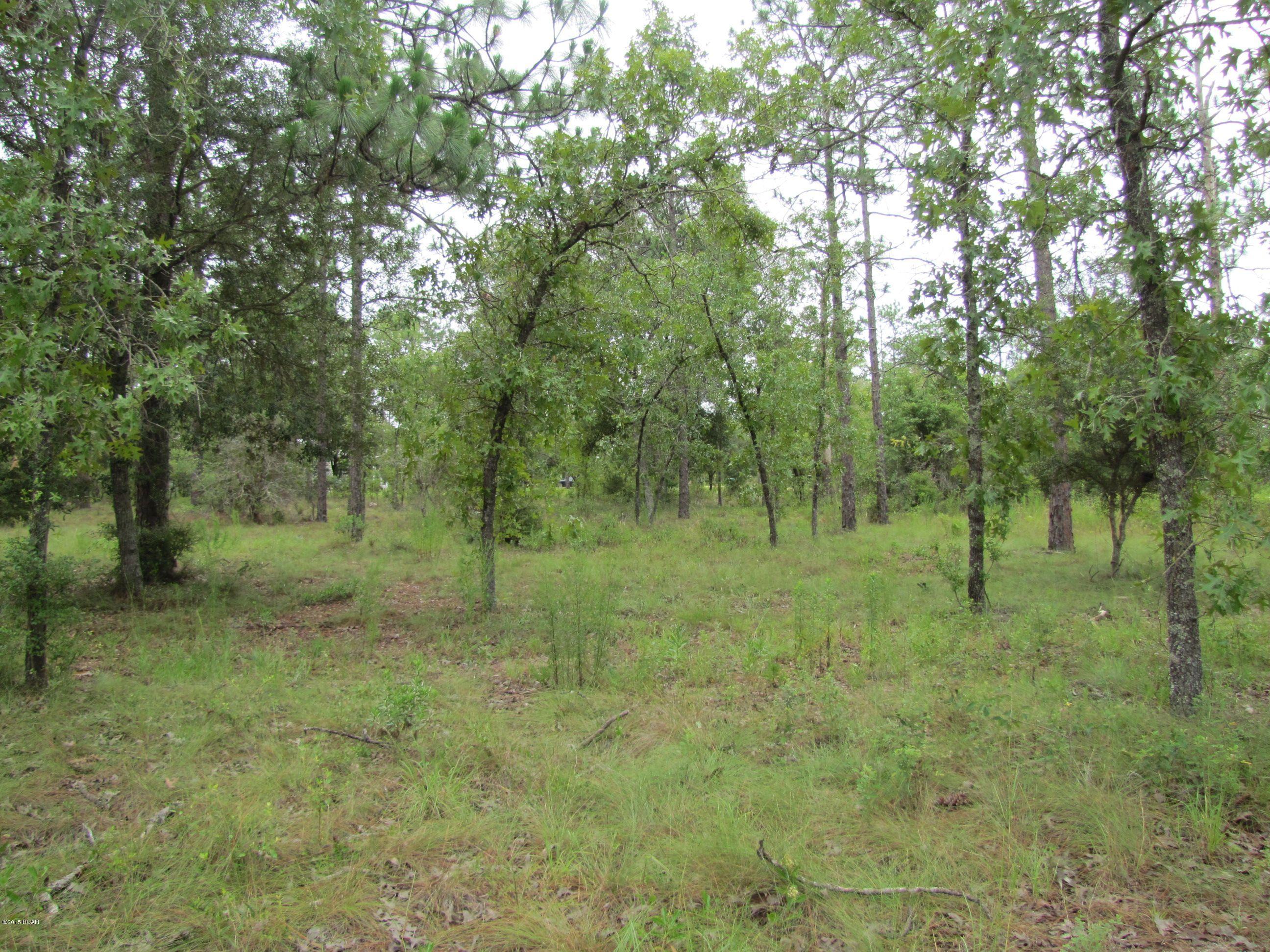 Leisure Lakes 1st Add - Residential