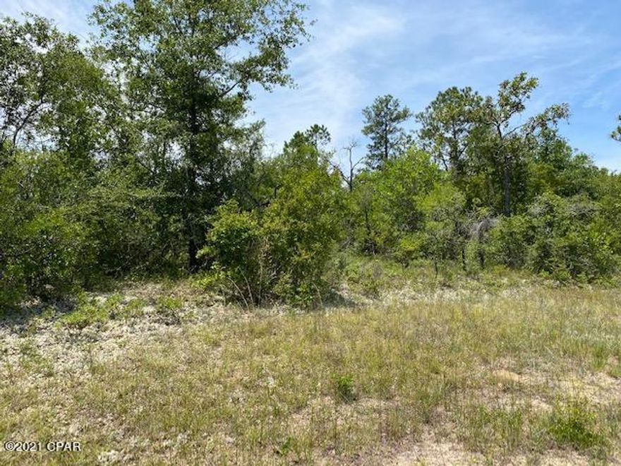 Two adjacent lots selling together.  Over 1/2 acre. Located in Sunny Hills, within an hour's drive to Panama City and the beautiful Gulf of Mexico. Golfing, boating, fishing or swimming are just a few minutes away.