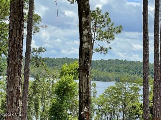 Compass Lake Hills Unit 5 - Land