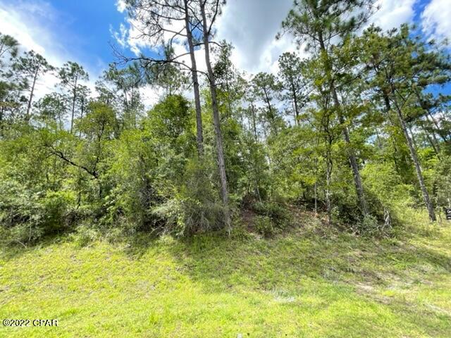 Compass Lake Hills Unit 5 - Land