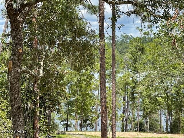 Compass Lake Hills Unit 5 - Land