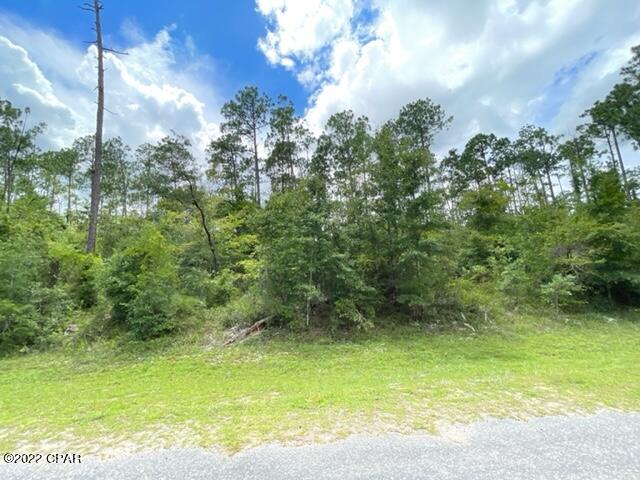 Compass Lake Hills Unit 5 - Land