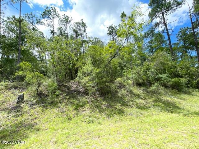 Compass Lake Hills Unit 5 - Land