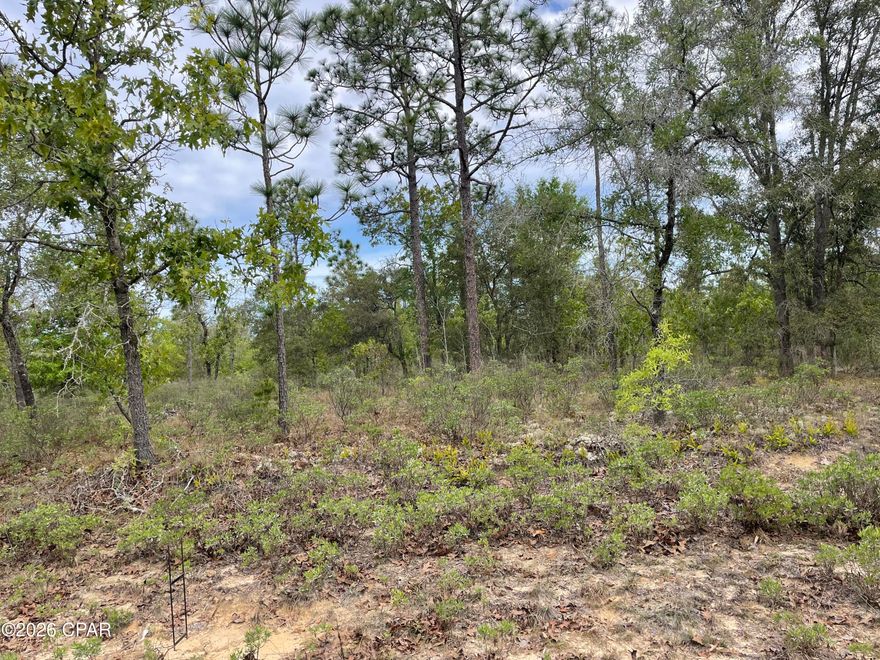 Beautiful high and dry buildable lot in an area of Sunny Hills Subdivision that is growing!  The property has beautiful trees and it is not far off of Hwy 77 for convenience.  This subdivision offers an 18-hole golf course with clubhouse, numerous lakes for recreational activities, no HOA and just north of the beautiful Panama City Beaches.  This lot will not last long!
