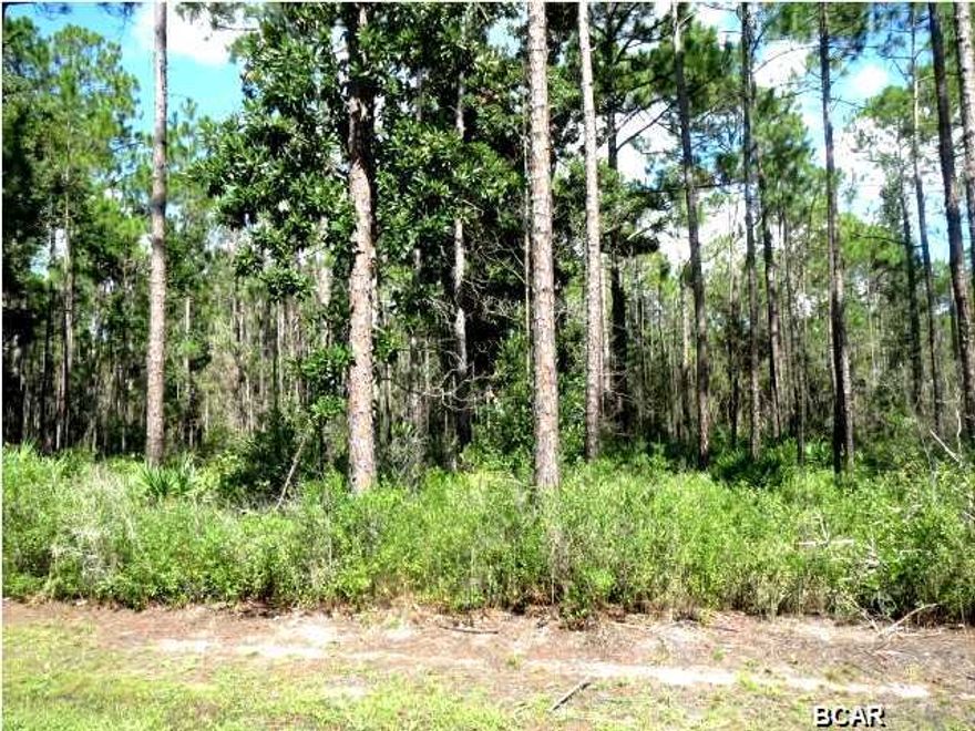 BEAUTIFUL BUILDING LOT IN LAIRD POINT! This lot is perfect for your new home with new constructions already going up on this street! Laird Point is a gated community with tennis courts and a proposed pool and so much more!
