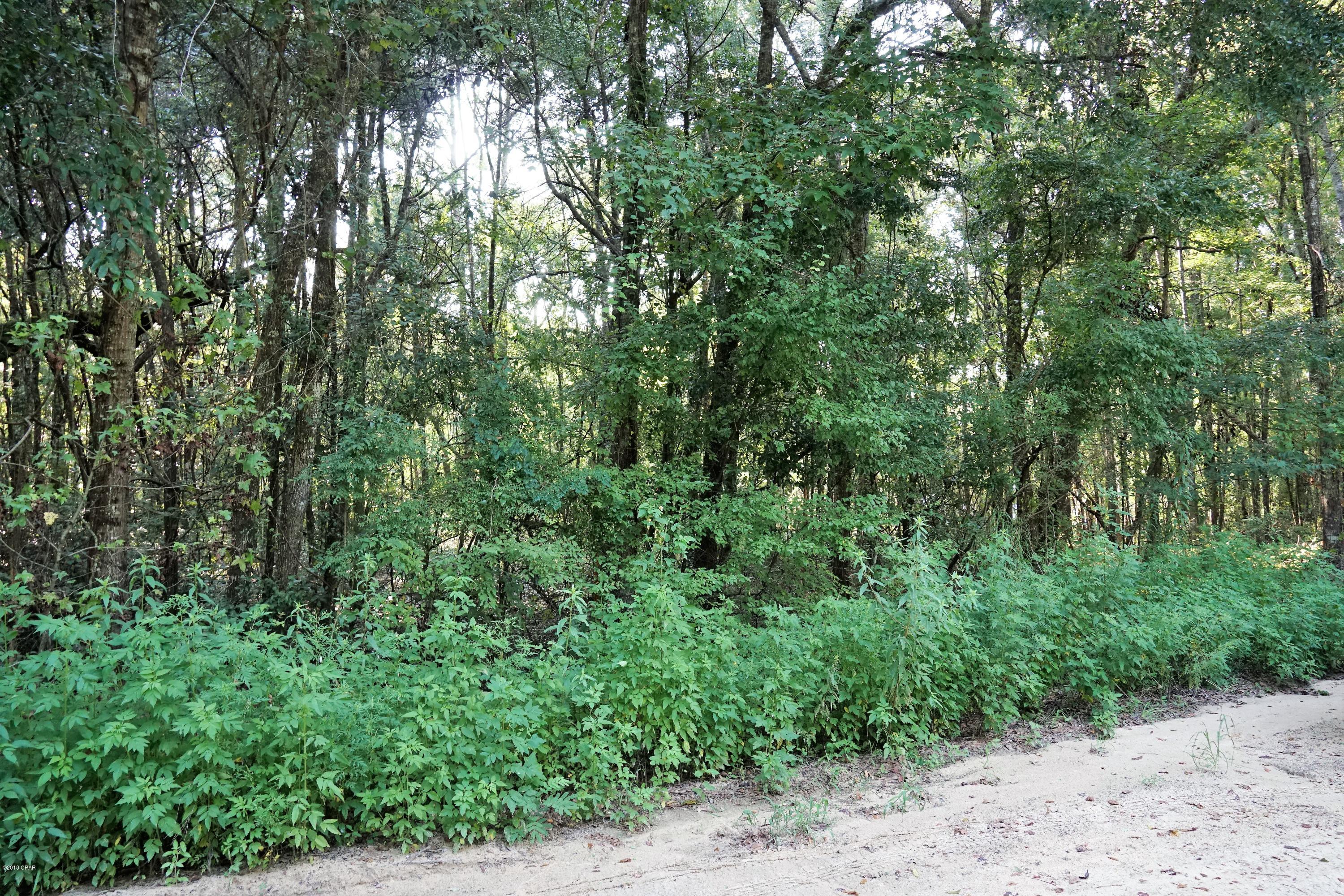 Ocheesee Estates - Land