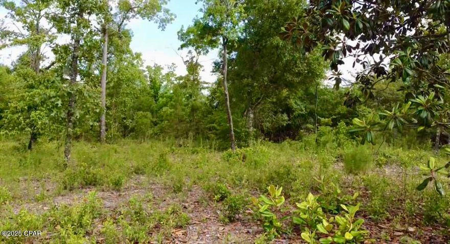 Cleared Lot with Utilities, Camper & Kennels - Compass Lake, FL

This 1.14 acre vacant land in Compass Lake offers a rare opportunity to enjoy peaceful country living just 1 hour from Panama City Beach and 20 minutes to Marianna. The lot is cleared and build-ready with electricity connected, a camper septic system, and a recent boundary survey. A 1999 Dutchman Lite camper is included, along with dog kenneling equipment for 7 dogs (4x8 panels), and partial fencing.

Located on a quiet dirt road near McCormick Lake, this property is surrounded by natural beauty and recreational lakes. No HOA. Mobile homes ARE allowed, making it ideal for a family campsite, future home, or investment property.

Property Features:

Electricity on site

Camper septic tank

Dutchman Lite Camper included (1999 model)

Dog kennels (4x8 panels for 7 dogs)

Recent survey

Partial fencing

No HOA

Mobile homes allowed

1 hour to Panama City Beach

20 minutes to Marianna

Contact listing agent for details or to schedule a viewing.