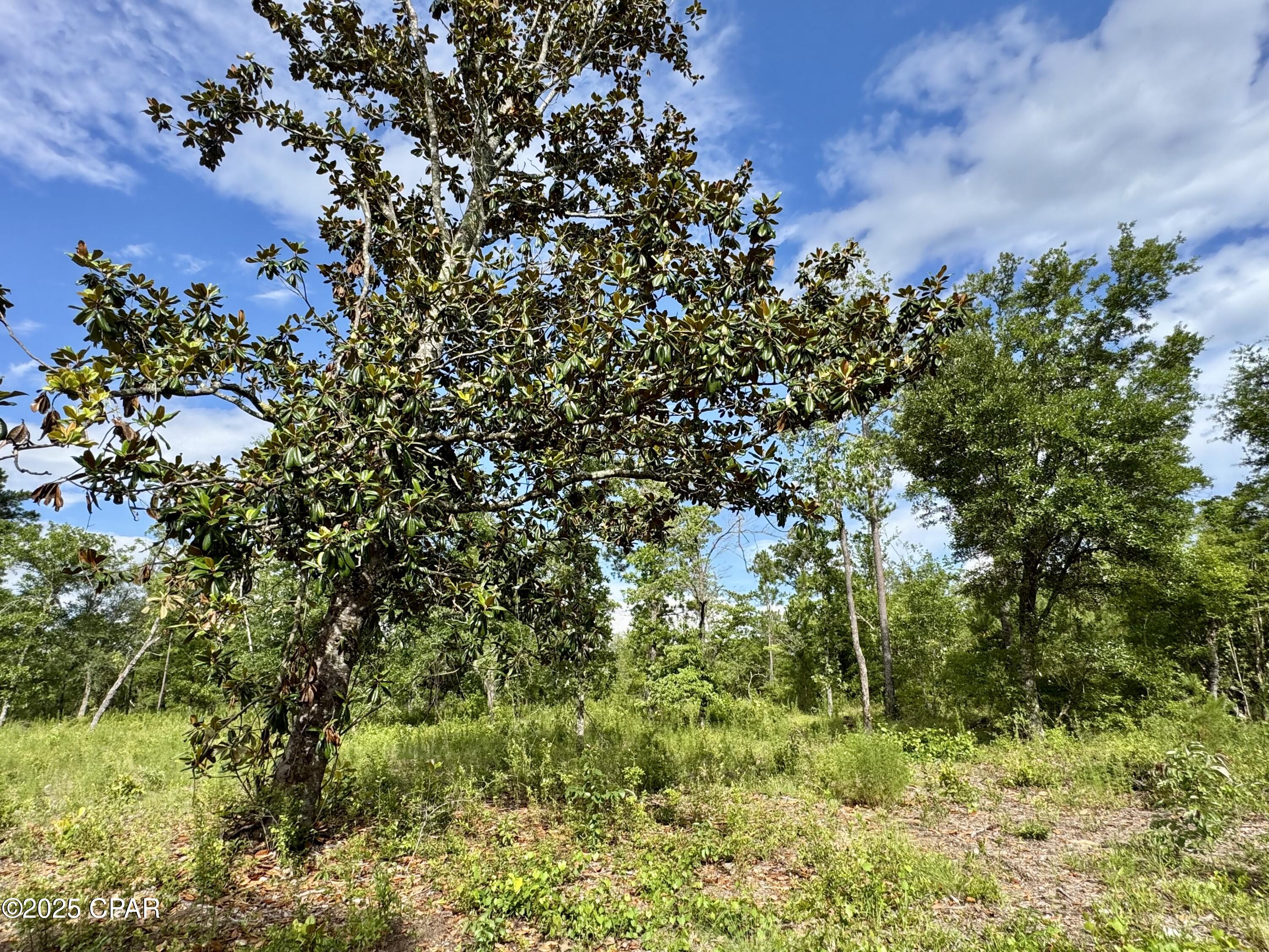 [No Recorded Subdiv] - Land