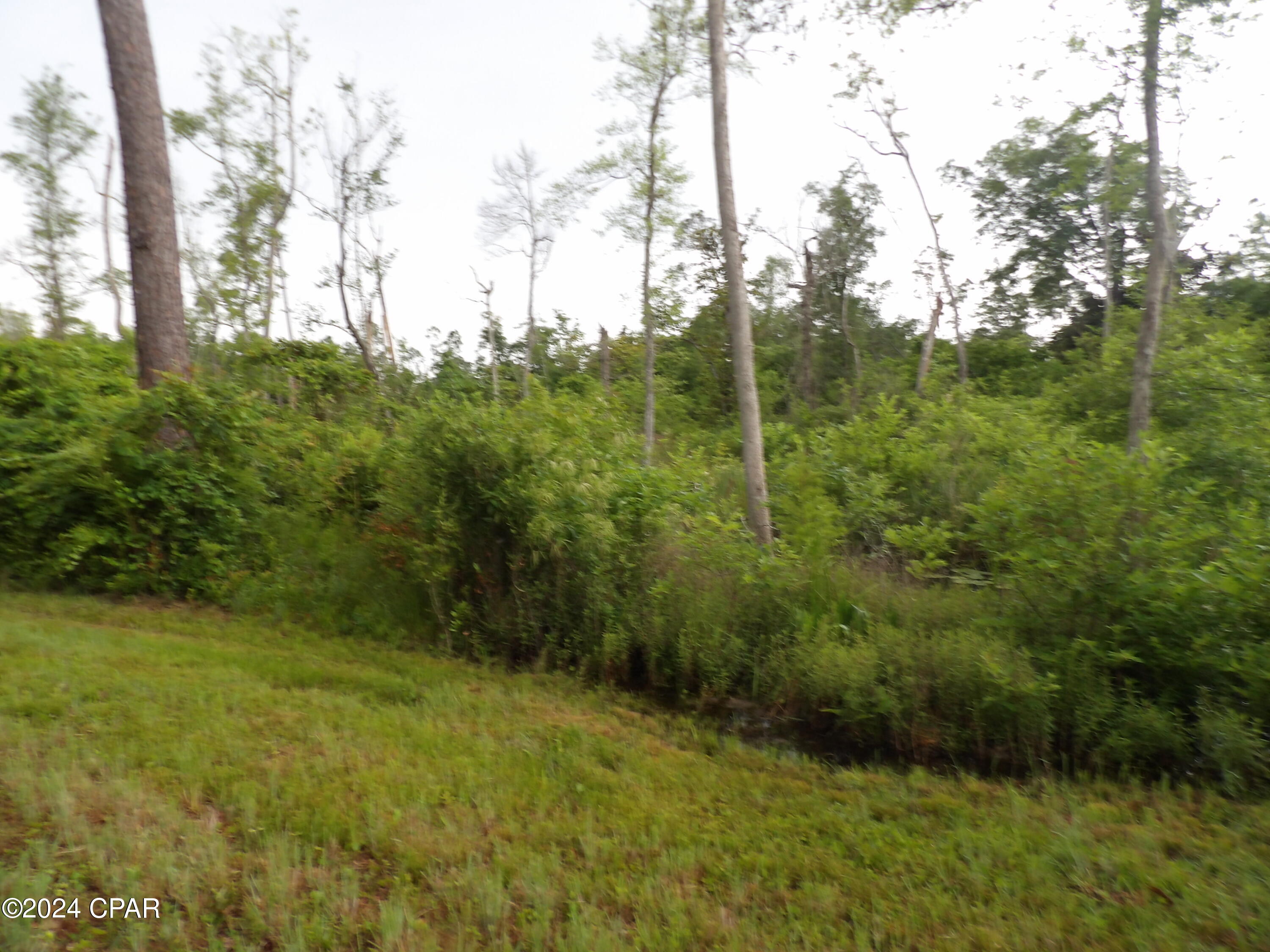 Fanning Branch - Residential