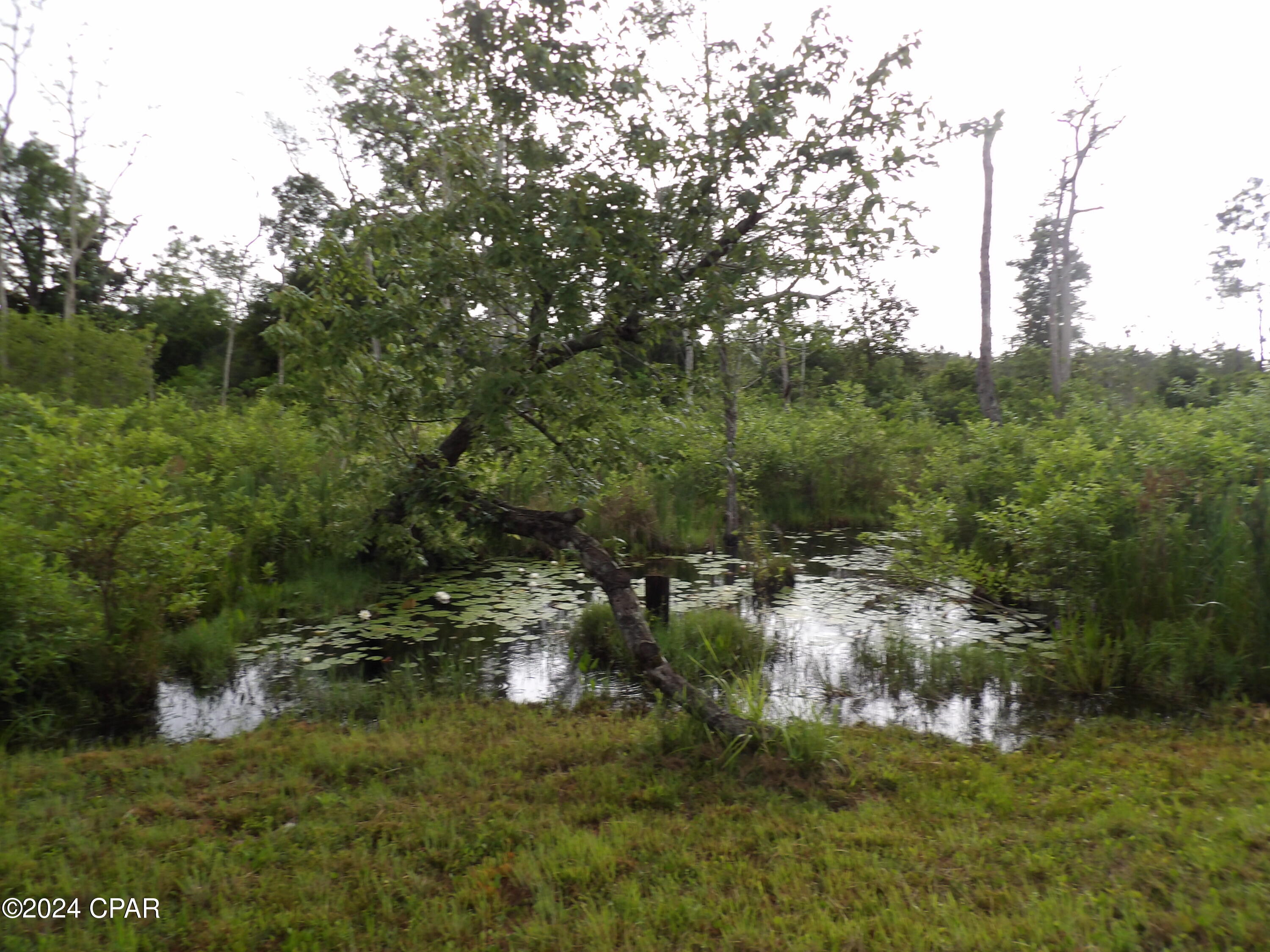 Fanning Branch - Residential