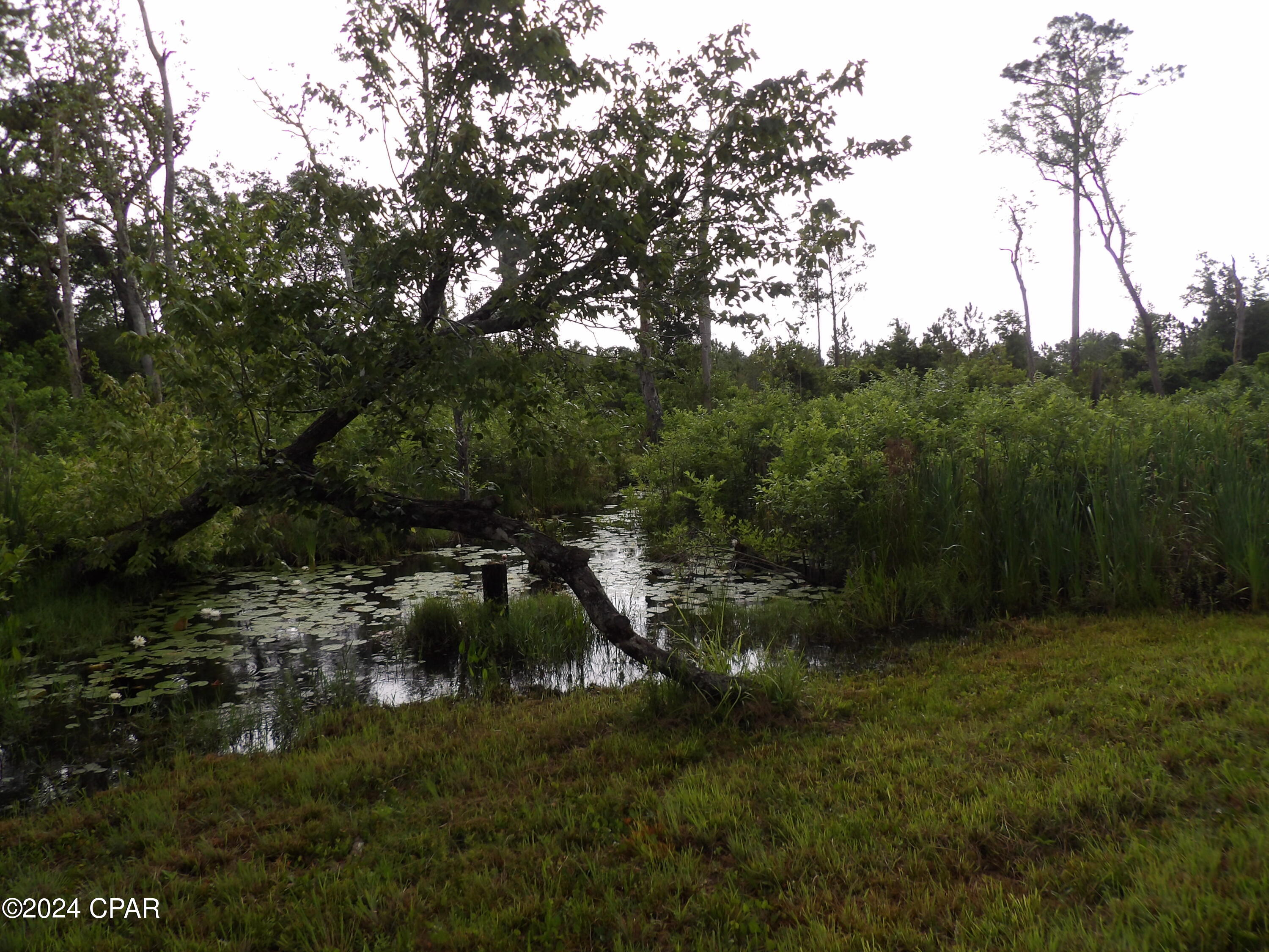 Fanning Branch - Residential